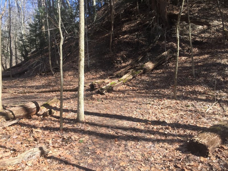 At this trail intersection on the clockwise Sagamore Creek Loop, go LEFT and cross the creek, NOT up the hill to the right.