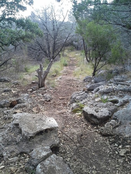 One of the few technical sections just west of the Russell Park Trailhead.