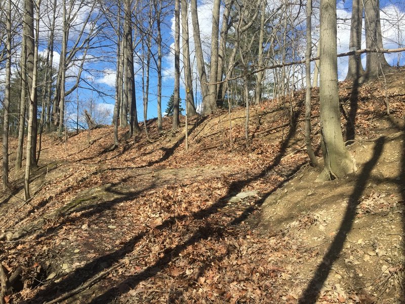 This is an important trail intersection on uphill switchbacks along the Sagamore Creek Loop; left goes to private property, so go RIGHT to stay on the trail.