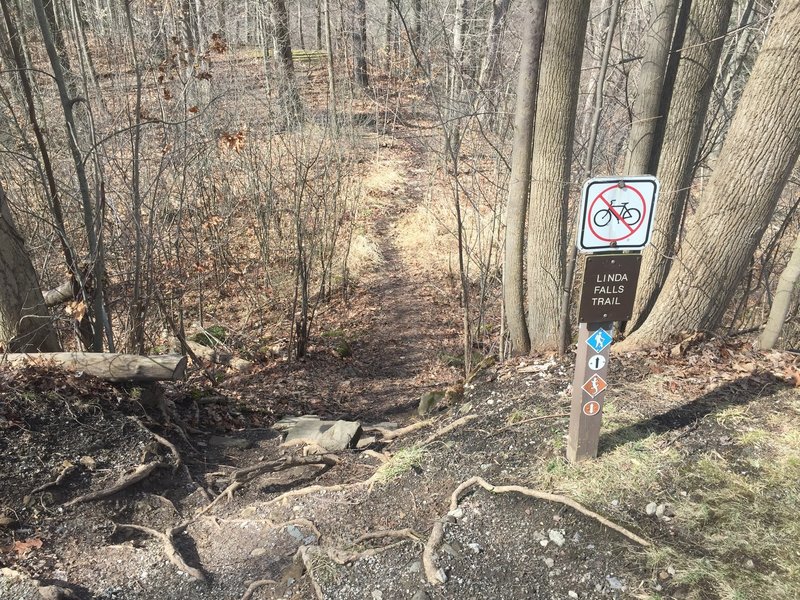 This is the entrance to the Linda Falls Trail/Buckeye Trail/Sagamore Creek Loop Trail as seen from the Summit Metro Parks Bike and Hike Trail.