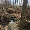 This is one of the small streams that feed into Sagamore Creek along the Sagamore Creek Loop Trail.