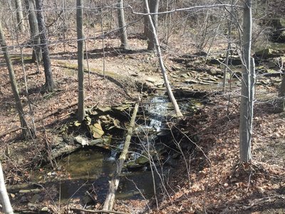 Sagamore Creek Loop Trail Hiking Trail, Walton Hills, Ohio