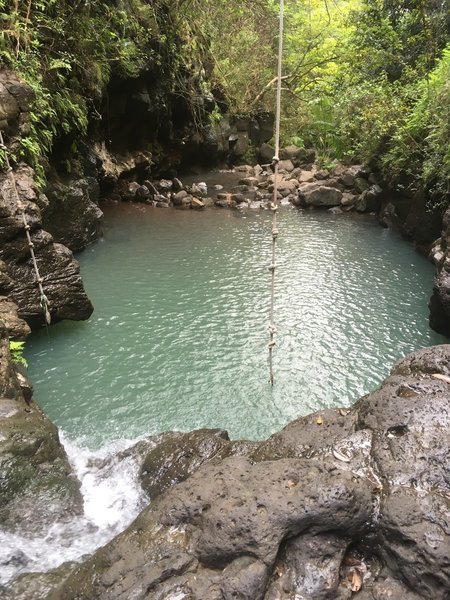 Take the rope swing at Lower Waimano Pool for a ride!