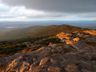 are dogs allowed at mount monadnock