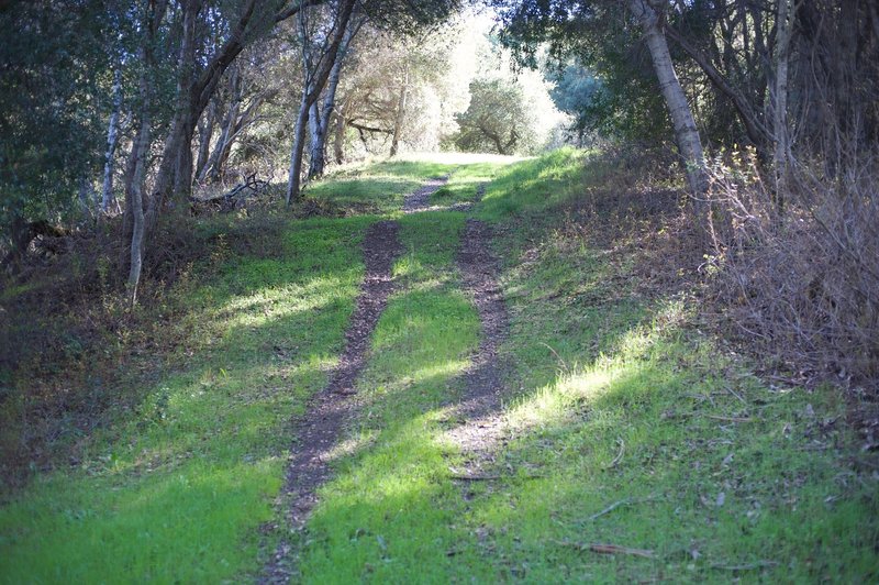 The Orchard Loop - Montebello Road Connector climbs steeply from Montebello Road.