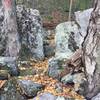 Squeeze between tight rock outcroppings along this portion of the MST.