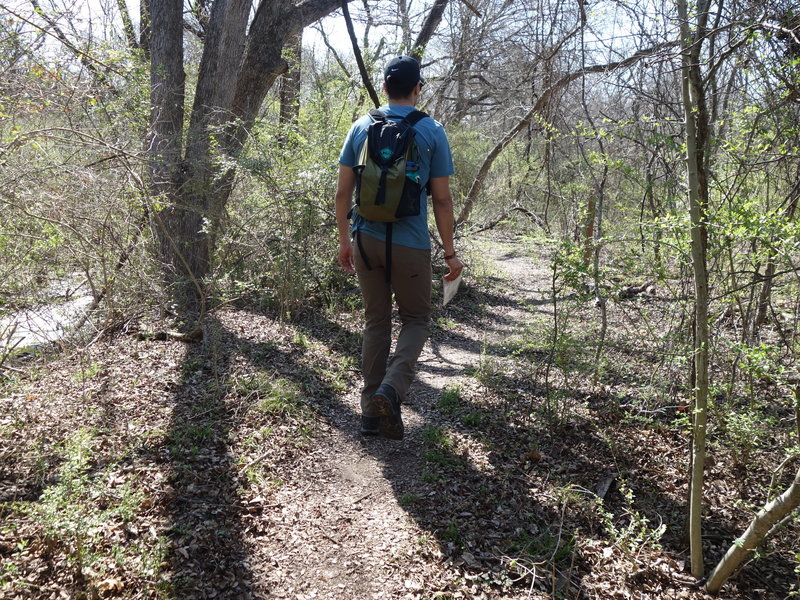 The Forked Tail Creek Trail offers a pleasant experience hiking through dense undergrowth.