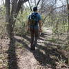 The Forked Tail Creek Trail offers a pleasant experience hiking through dense undergrowth.