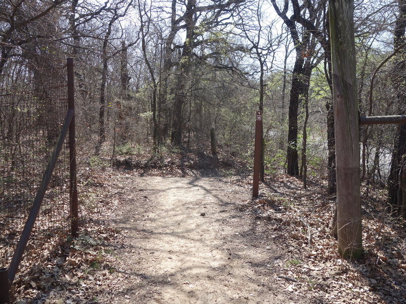 Wild Plum South Trail turns 90 degrees along the Bison Viewing Area fence.