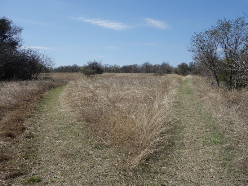 Wild Plum South Trail connects with Oak Motte Trail at this junction.