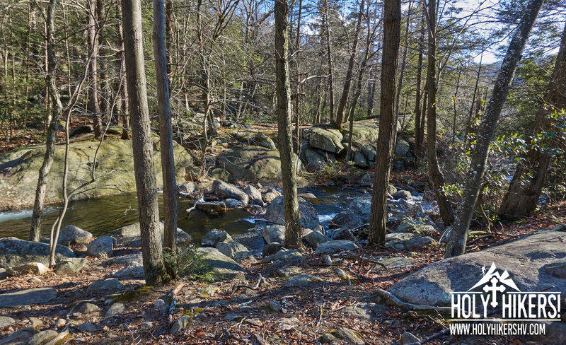 Experience beautiful views of the brook as you follow along the trail.