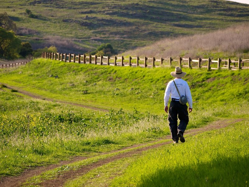 The Pueblo Trail offers a beautiful, verdant place to walk in the park.