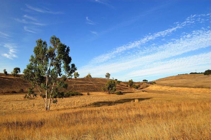 Soak up the big-sky views from the Pueblo Trail.