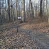 Runners passing by on the Pettoranello-Brookside Trail.