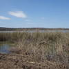 The north end of Greer Island offers pleasant views of the water and potentially some wildlife!