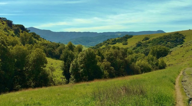 Looking southwest from the Fortini Trail, the Santa Cruz Mountains stand in the distance with Mt. Umunhum on the right.