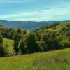 Looking southwest from the Fortini Trail, the Santa Cruz Mountains stand in the distance with Mt. Umunhum on the right.