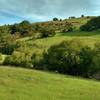 Springtime brings lush greenery to the Santa Teresa Hills.