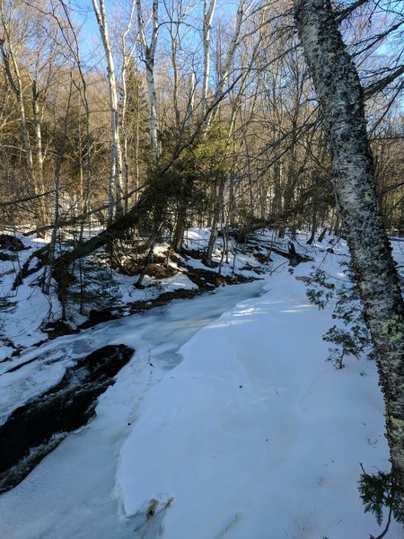 A partially frozen Chapel Creek creates a beautiful wintertime scene near the lakeshore.