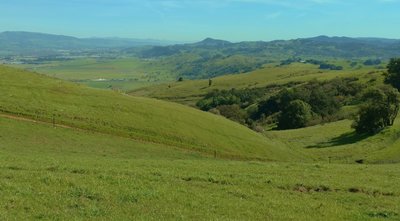 The Santa Clara Valley countryside south of San Jose is absolutely gorgeous from the Coyote Peak Trail.