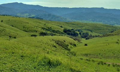 Looking south from Coyote Peak in the Santa Teresa Hills, the Santa Cruz Mountains stand in the distance.