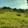 Climbing to Coyote Peak on its namesake trail, enjoy lush green grasses and pleasant views.