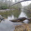 Toccoa Hanging Bridge aids your passage over the Toccoa River.