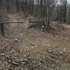 This area is located near the top of Nimblewell Gap Rd. There are three trail/road choices. Runners must take the trail behind this gate!