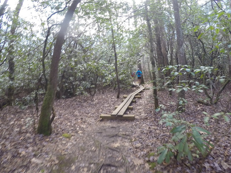 The Hike Inn Lodge Trail aids your passage through this muddy section with raised-plank boardwalks.