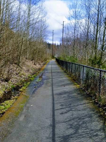 This part of the trail is rife with rooty, broken pavement. It sure makes for a bumpy ride in a stroller!