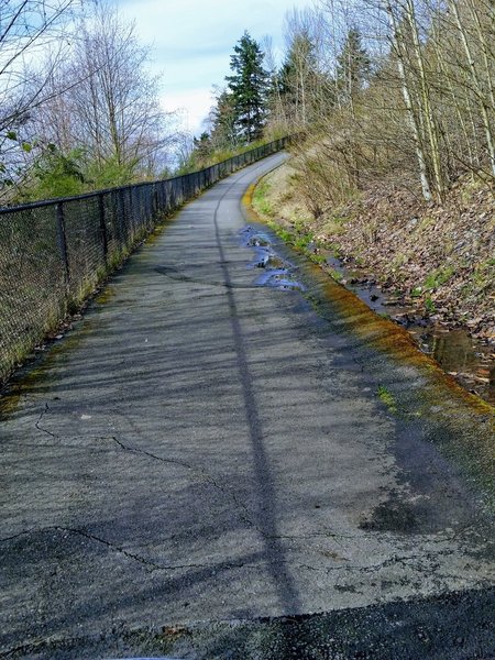 The Vista Ridge Trail trudges up a steep climb in this section.