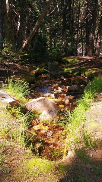 A small stream flows beside the White Pine Lake Trail.