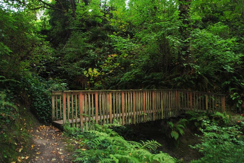 A bridge crosses the chasm at the halfway point.