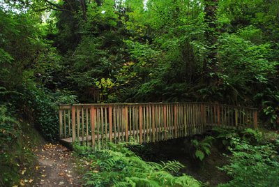 A bridge crosses the chasm at the halfway point.