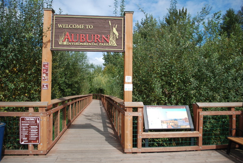 Look for the southern entrance to Auburn Environmental Park to read about park rules, info, and begin the trail.
