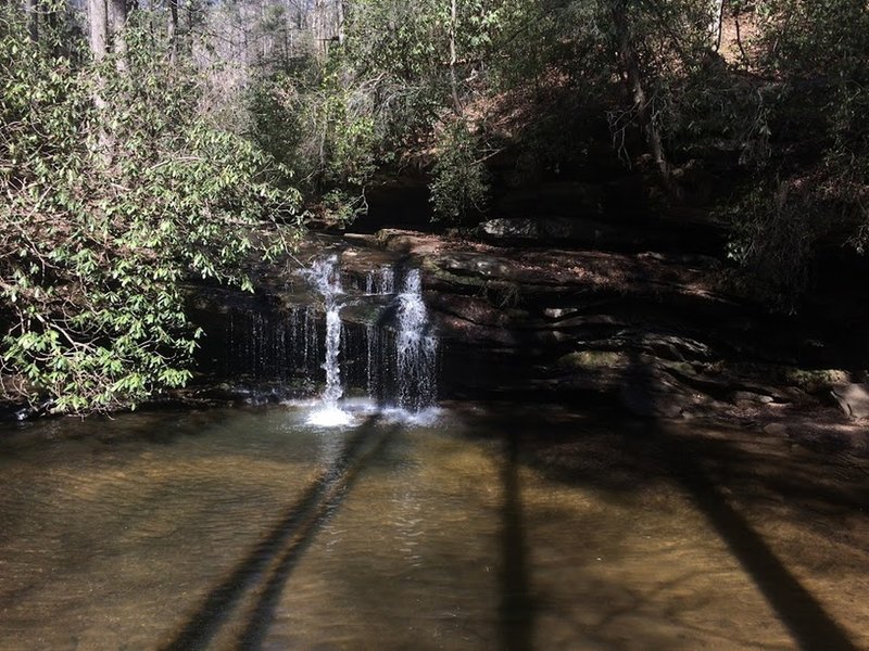 Enjoy a small waterfall area near the beginning of the Table Rock Trail.