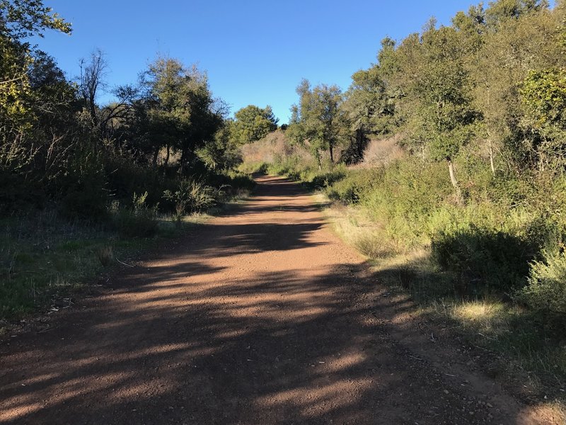 Enjoy smooth trail as it makes its way along the ridge.