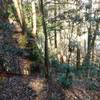 Iron stairs lead to the Sheltowee Trace along the Big South Fork from the Yahoo Falls Overlook Trail.