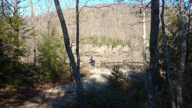 The CCC built the overlook at Yahoo Falls.