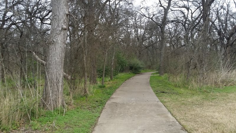 Here, the paved path enters the forest.