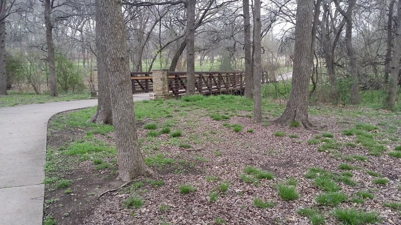 A local footbridge provides a great location for a few photos.