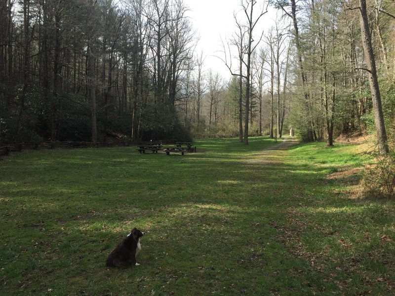 The race starts in this wide, grassy area.