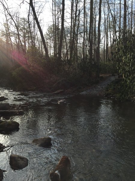 The last crossing of the North Mills River is quick and doable.