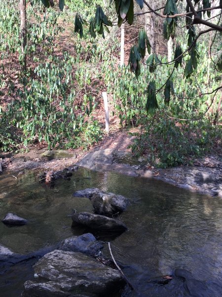 Cross Spencer Creek along this narrow, but doable rock-hop.