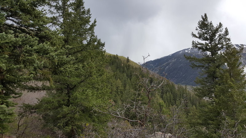 Keep your eyes on the clouds up here – you hear about Colorado's afternoon thunderstorms for a reason!