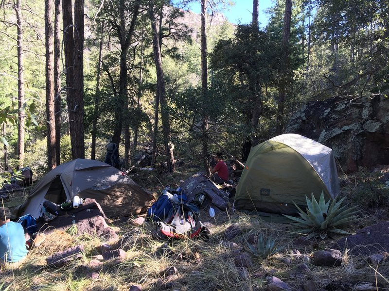 If you're backpacking on the Y Bar Trail, keep your eyes peeled for good, flat campsites. This was the best we could find, and the minor slope caused some night-time sliding in the tent.