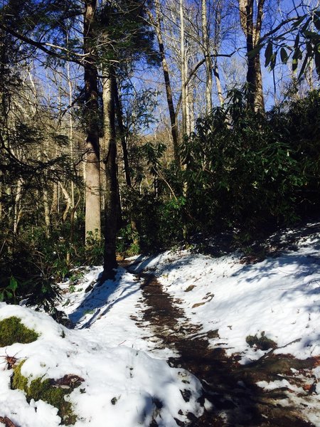 The day after light snowfall, the bridges on the Ramsey Cascades Trail can be icy.