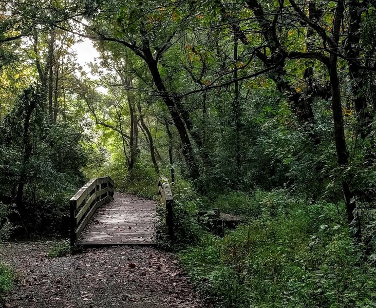 In the summertime, the Fall Creek Trail comes alive with lush greenery.