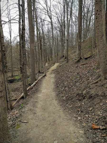 Winter trail conditions can be pretty good along the Fall Creek Trail.