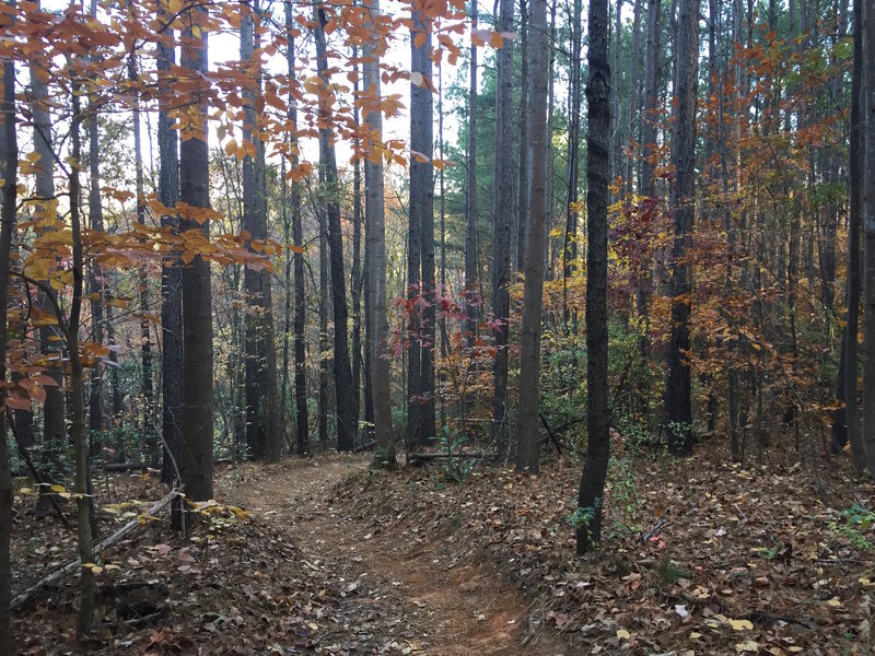 South Main Trail is primed and perfect in the fall.